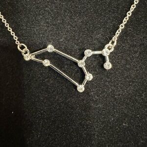 Silver Leo Constellation Necklace